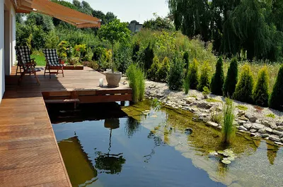 Ogrody Kubeccy - Szkółka Drzew i Krzewów Ozdobnych